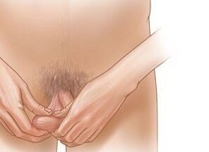 Jelking training to enhance penis